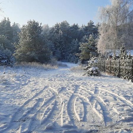 Domek Caloroczny Nad Jeziorem Budzislawskim, Wielkopolska Na Wynajem Anastazewo Luaran gambar