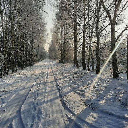 Domek Caloroczny Nad Jeziorem Budzislawskim, Wielkopolska Na Wynajem Anastazewo Luaran gambar