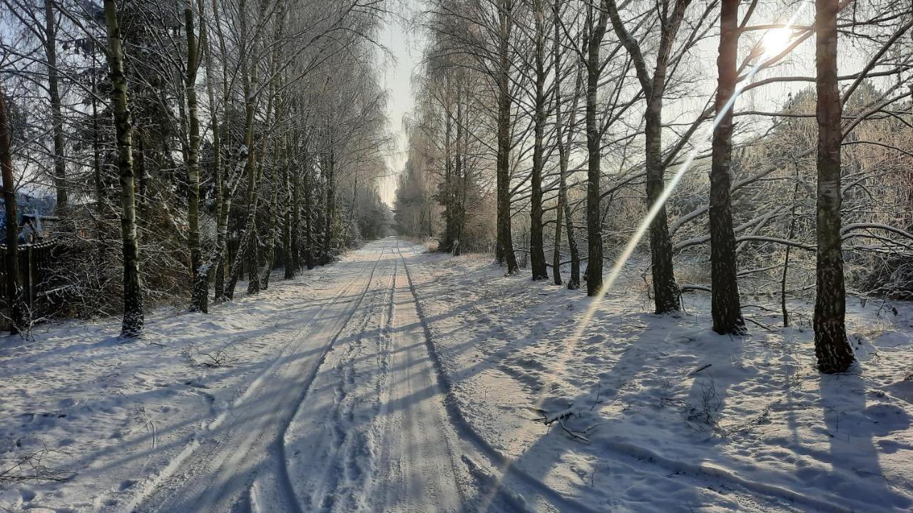 Domek Caloroczny Nad Jeziorem Budzislawskim, Wielkopolska Na Wynajem Anastazewo Luaran gambar