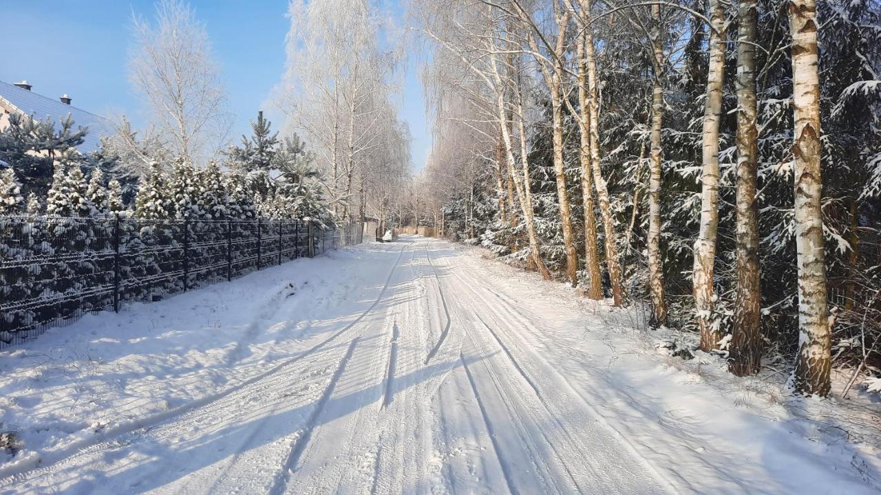 Domek Caloroczny Nad Jeziorem Budzislawskim, Wielkopolska Na Wynajem Anastazewo Luaran gambar